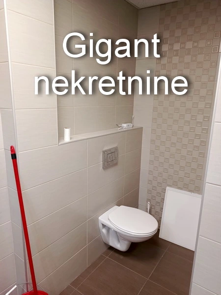 Izdaje se poslovni prostor u Obrenovićevoj ulici u Nišu 3