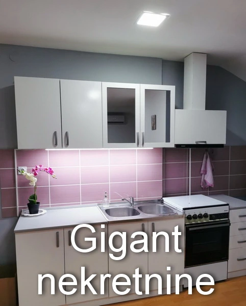 Prodja manjeg stana u Nišu-Pantelej 8