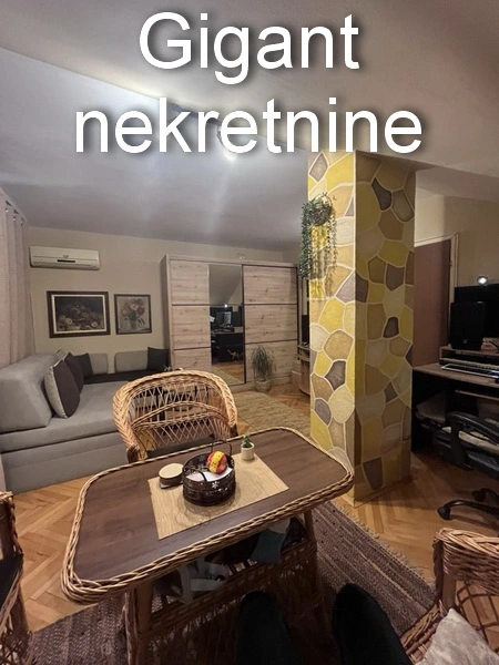 Prodaja jednosobnog stana-park Svetog Save u Nišu 9