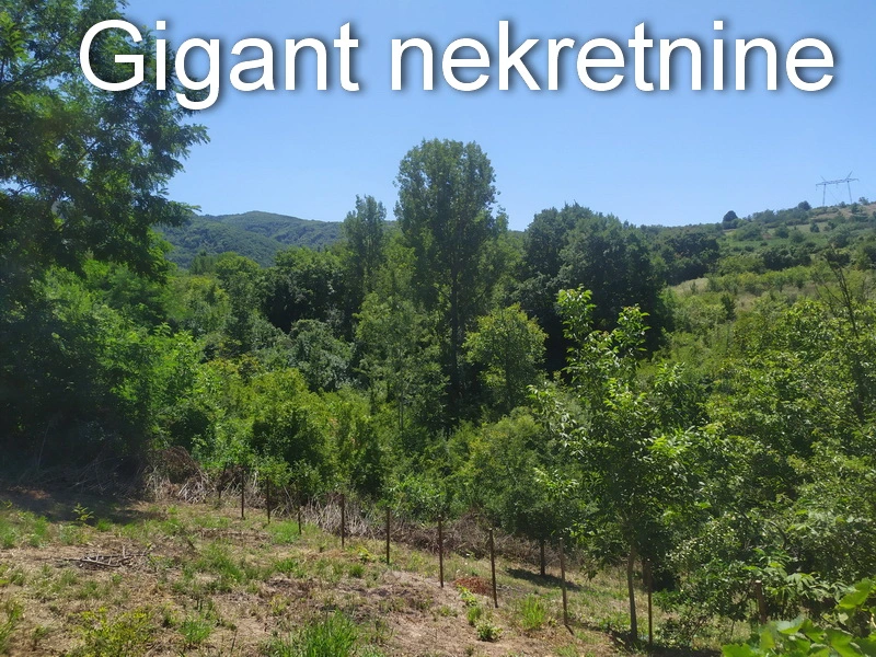 Prodaja vikendice na putu za Vukmanovo