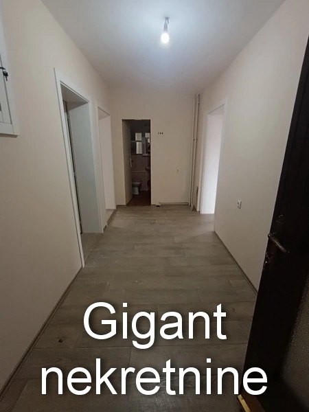 Prodaja kuce u Nišu 3