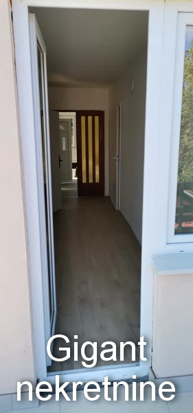 Prodaja kuce u okolini Niša-Orljane 5
