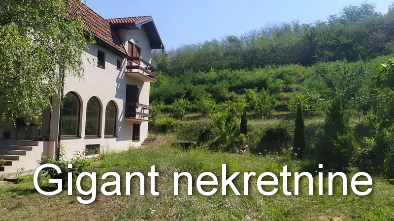 Prodaja kuce u Nišu 2