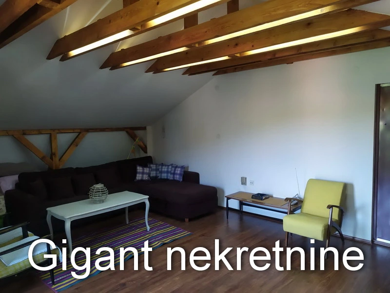 Prodaja kuce u Nišu 6