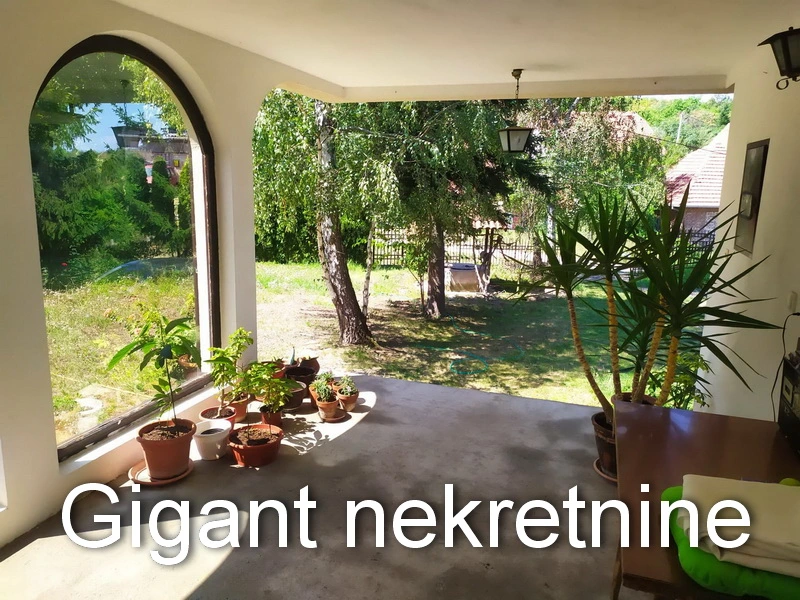Prodaja kuce u Nišu 4