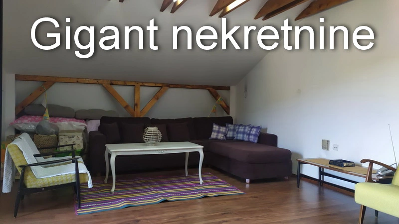 Prodaja kuce u Nišu 16