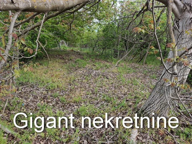 Plac na prodaju - Podvinik 6