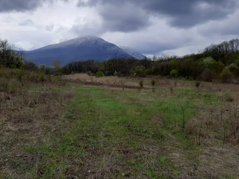 Prodaja zemljišta u okolini Rtnja-Ilino