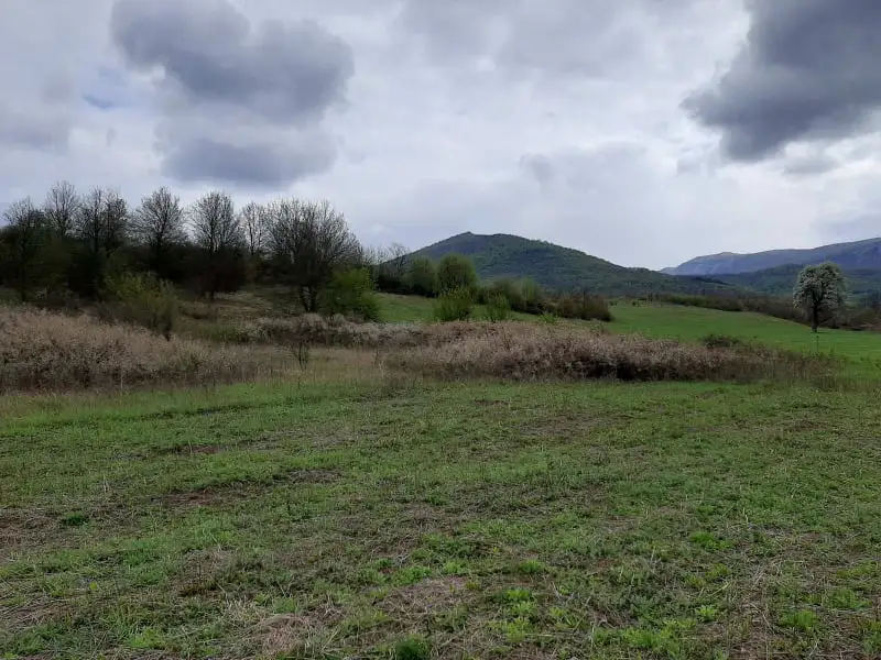 Prodaja zemljišta u okolini Rtnja-Ilino 3