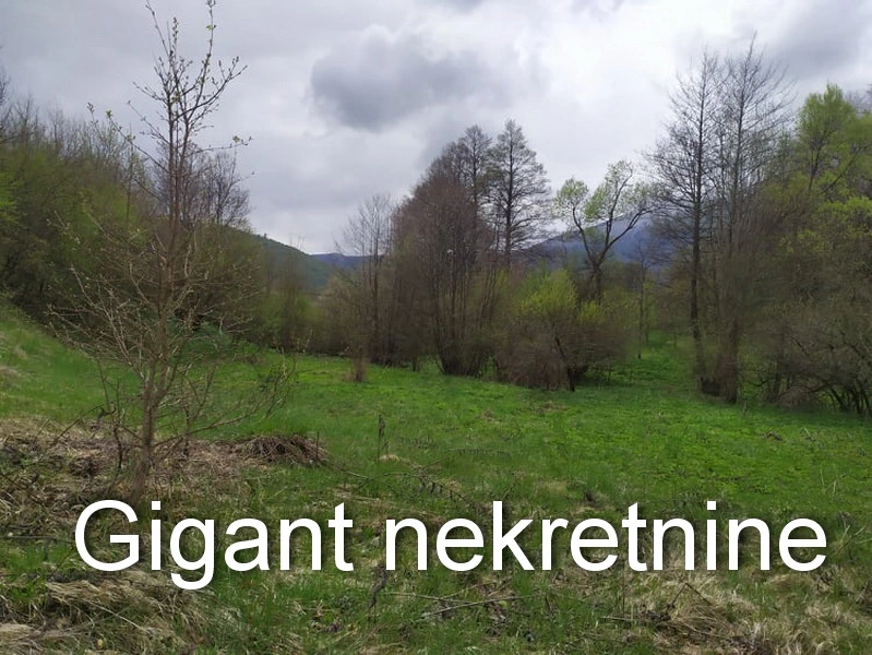 Prodaja zemljišta u okolini Rtnja-Ilino 4