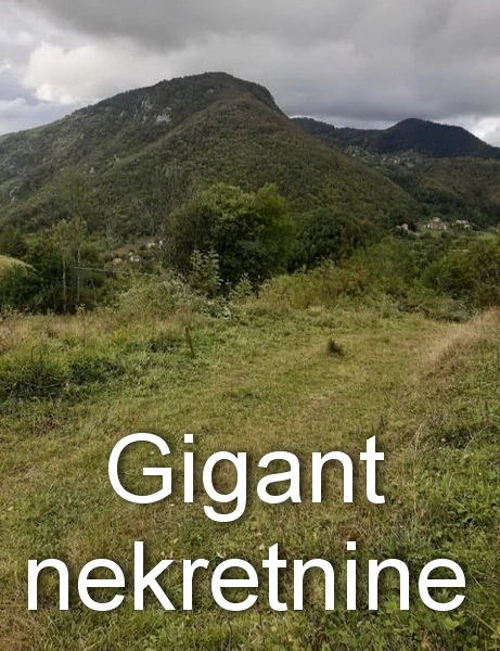 Prodaja placa na Tari-Zaovine