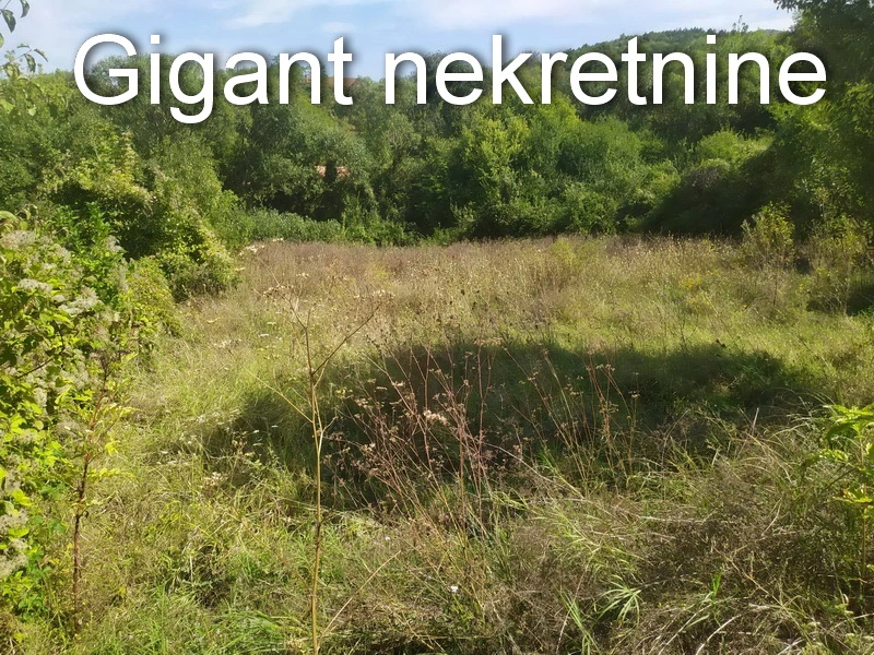 Prodaja placa u Soko banji 3
