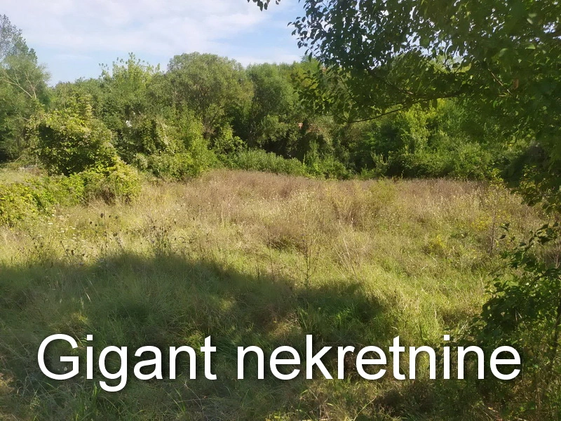 Prodaja placa u Soko banji 4
