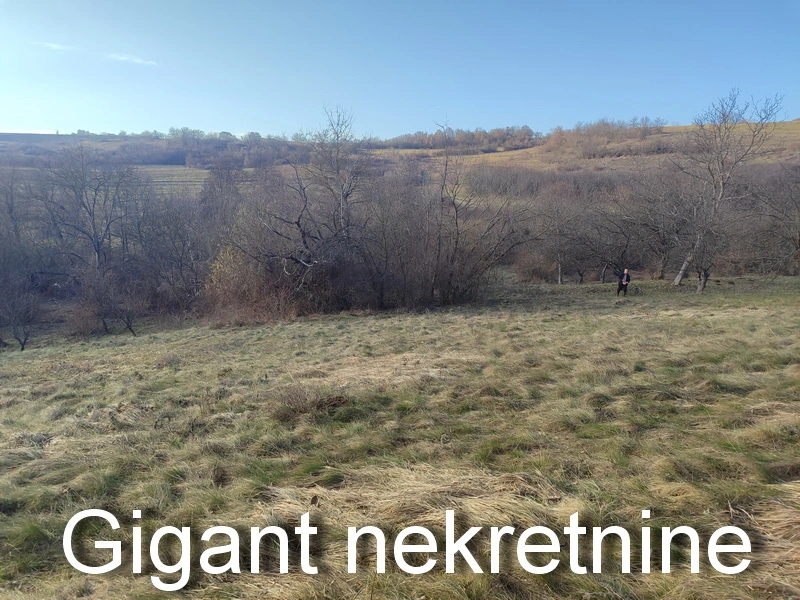 Prodaja zemljišta u okolini Rtnja,Soko banje-Vrmdza 4