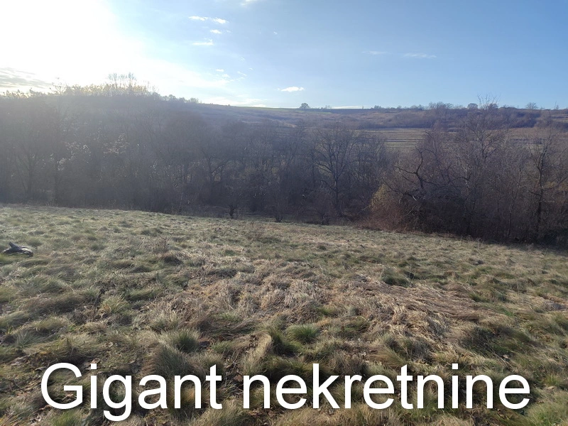 Prodaja zemljišta u okolini Rtnja,Soko banje-Vrmdza 3