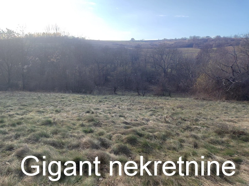 Prodaja zemljišta u okolini Rtnja,Soko banje-Vrmdza 5