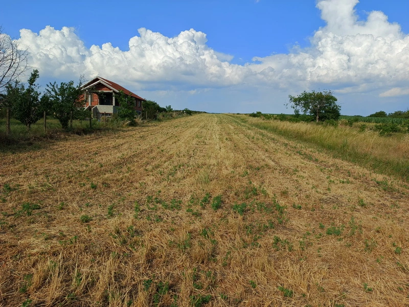 Prodaja zemljišta u okolini Niša-Aleksandrovo 4