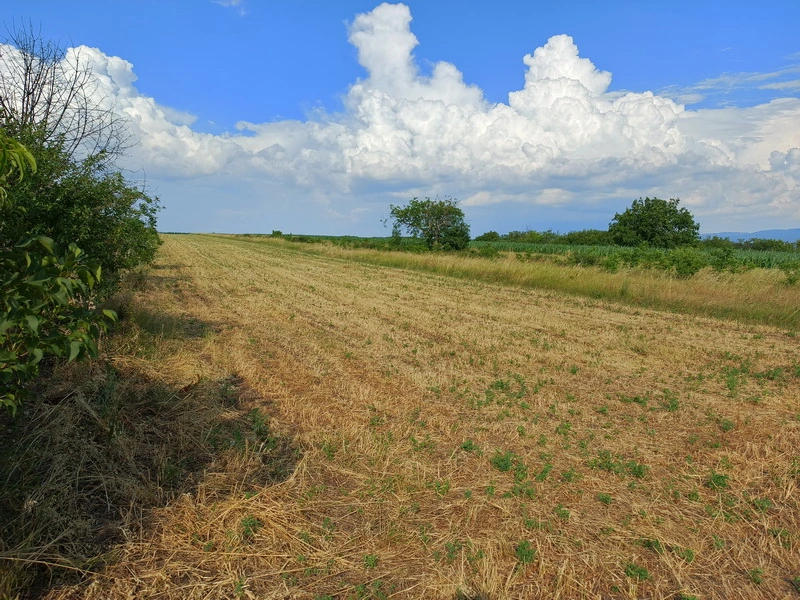 Prodaja zemljišta u okolini Niša-Aleksandrovo