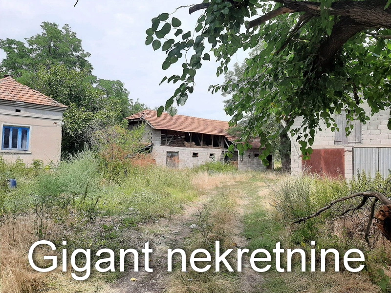 Prodaja zemljista u okolini Rtnja-Podgorac 13
