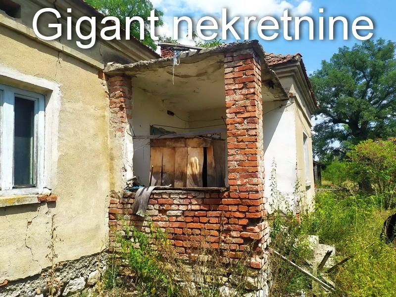 Prodaja zemljista u okolini Rtnja-Podgorac 9