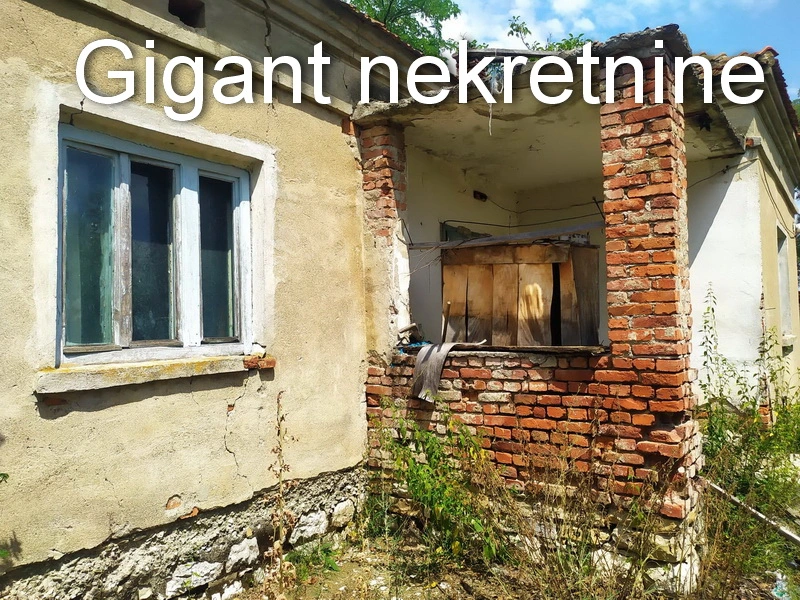 Prodaja zemljista u okolini Rtnja-Podgorac 12