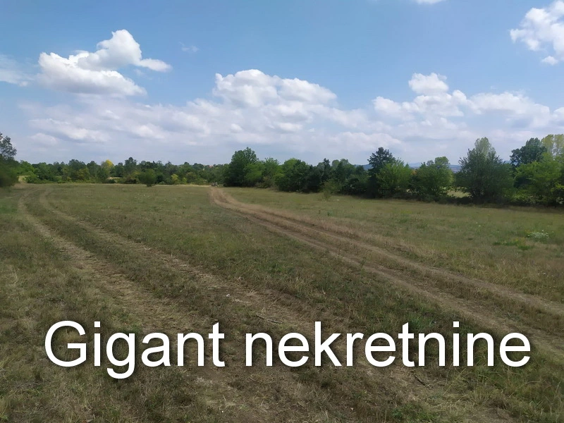 Prodaja zemljista u okolini Rtnja-Podgorac 3