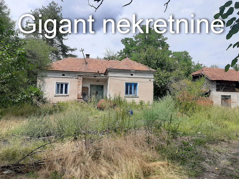 Prodaja zemljista u okolini Rtnja-Podgorac 14