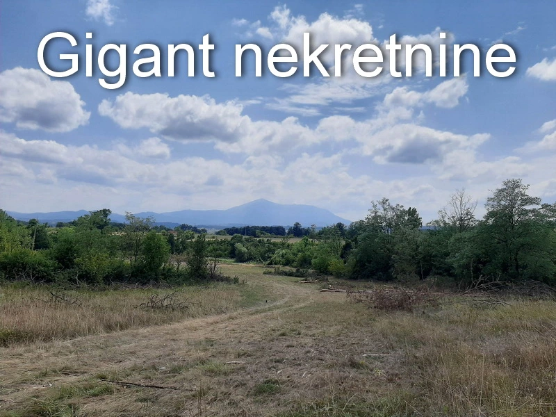 Prodaja zemljista u okolini Rtnja-Podgorac 8