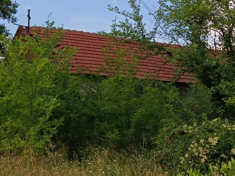 Prodaja placa u okolini Niša selo Aleksandrovo 5