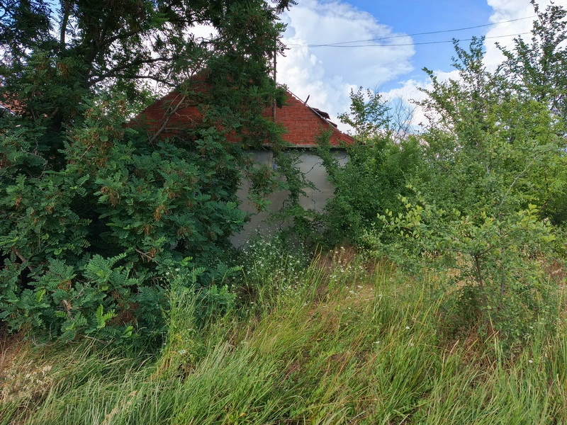 Prodaja placa u okolini Niša selo Aleksandrovo 3