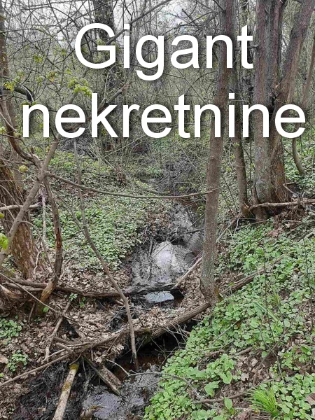 Preodaja zemljišta u okolini Rtnja 7