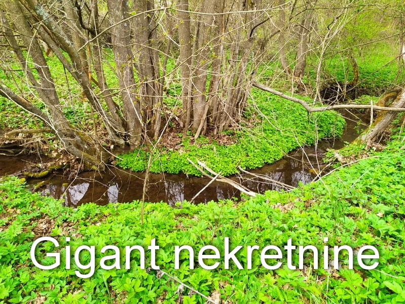 Preodaja zemljišta u okolini Rtnja 9