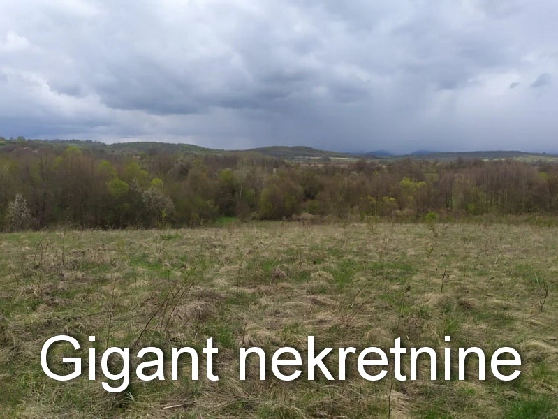 Preodaja zemljišta u okolini Rtnja 10