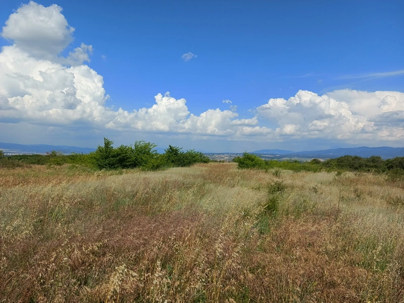 Prodaja zemljišta u okolini Niša-Aleksandrovo 3