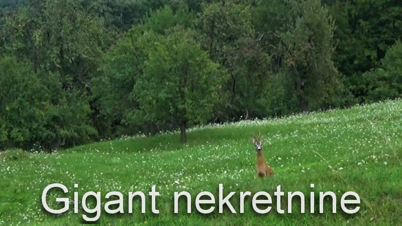 Prodaja placa u Ravnom Dolu - cena DOGOVOR