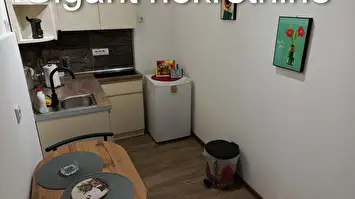 Prodaja apartmana u centru Niša 3