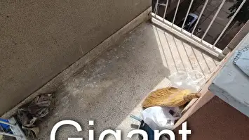 Prodaja jednoiposobnog stana u Nišu 3