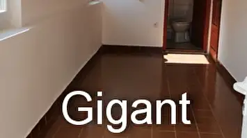 Prodaja kuce u okolini Niša-Orljane 3
