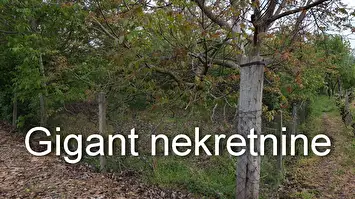 Plac na prodaju - Podvinik 3