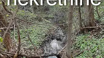 Prodaja zemljišta u okolini Rtnja-Ilino 2