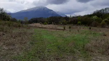 Prodaja zemljišta u okolini Rtnja-Ilino