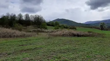 Prodaja zemljišta u okolini Rtnja-Ilino 3
