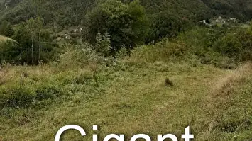 Prodaja placa na Tari-Zaovine