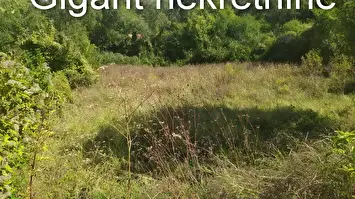 Prodaja placa u Soko banji 3