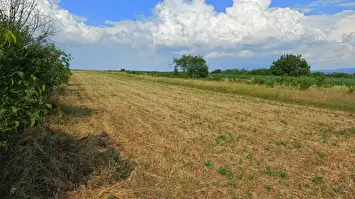 Prodaja zemljišta u okolini Niša-Aleksandrovo