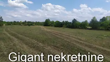 Prodaja zemljista u okolini Rtnja-Podgorac 3