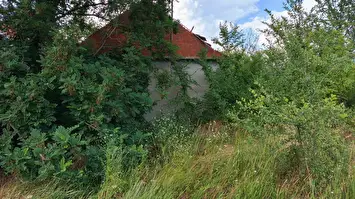Prodaja placa u okolini Niša selo Aleksandrovo 3