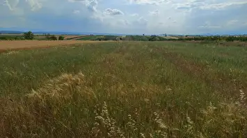 Prodaja zemljišta u okolini Niša-Aleksandrovo